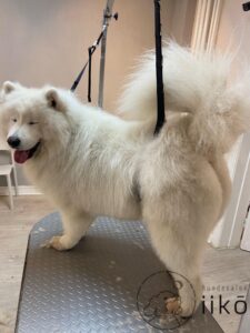 2photo_with_specified_logo_size_1